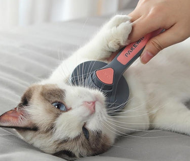 The New Cat/Dog Hair Comb